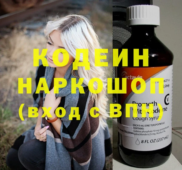 индика Алзамай